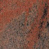 Multicolor red